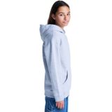 Element - Epic Hooded Sweatshirt - Grijs - Unisex - Katoen