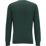 Lacoste - Groene Crew-Neck Sweater - Heren - Katoen