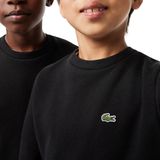 Lacoste - Sweatshirt - Zwart - Katoen