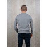 Lacoste - AH0128 - Trui - Groen - Katoenmix