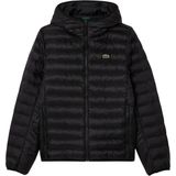 Lacoste - Donsjas - Zwart - Leer