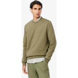 LACOSTE - Sweater - Groen - Katoen