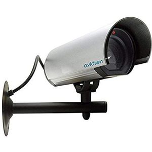 Avidsen - Camera – beveiligingscamera's (met kabel, buiten, zwart, zilver, muur), gebruik: buiten of binnen, weerbestendig, controlelampje - 123054