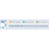 Epitact Physiostrap Medical Kniebeschermer 1ST