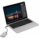 Seagate STKS1000400 - Externe Harde Schijf 1TB SSD - Grijs