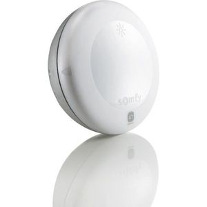 Somfy 2401219 - Sunis Wirefree io | Draadloze zonsensor voor buiten | Compatibel met TaHoma (switch)