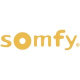 Somfy - 1822609 - Draadloze Module - Zwart - Voor io Aandrijving