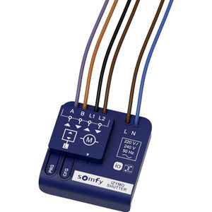 Somfy - 1822660 - Draadloze Ontvanger - Compatibel met Rolluiken - Bidirectioneel