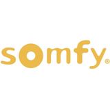 Somfy - Keygo RTS - Afstandsbediening - Voor de bediening van tot 4 RTS-garagedeuren of -poortmotoren