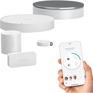 Somfy 1875280 Home Alarm Essential – draadloos alarmsysteem voor thuis verbonden wifi – 3 IntelliTAG – 1 bewegingsmelder – 2 afstandsbedieningsbadges – compatibel met Alexa, Google Assistant en TaHoma