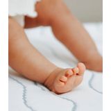 babymoov Cosy' Lite Ergonomisch kindermatras 70 x 140 cm