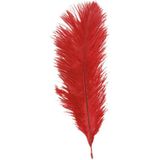 Chaks Struisvogelveren/sierveren - 5x - rood - 20-25 cm - decoratie/hobbymateriaal