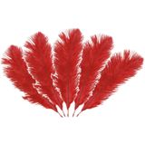 Chaks Struisvogelveren/sierveren - 5x - rood - 20-25 cm - decoratie/hobbymateriaal