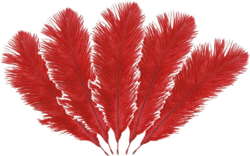 Chaks Struisvogelveren/sierveren - 5x - rood - 20-25 cm - decoratie/hobbymateriaal