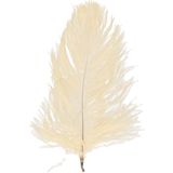 Chaks Struisvogelveren/sierveren - 5x - crÃ¨me wit - 20-25 cm - decoratie/hobbymateriaal