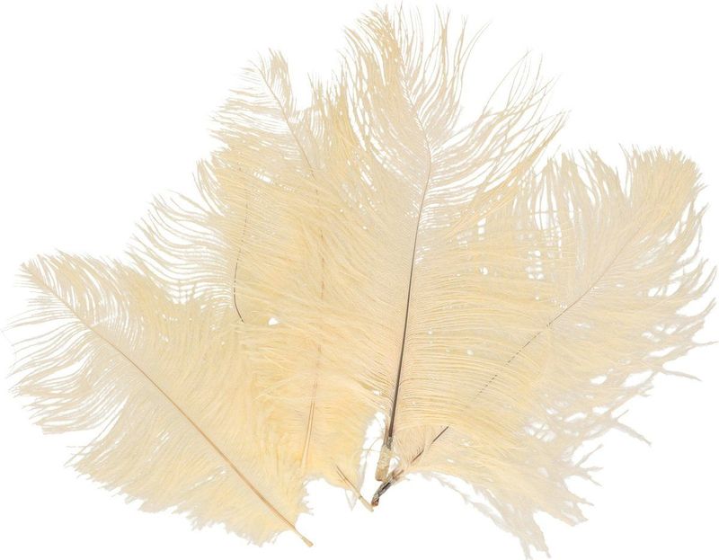 Chaks Struisvogelveren/sierveren - 5x - crÃ¨me wit - 20-25 cm - decoratie/hobbymateriaal