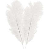 Chaks Struisvogelveren/sierveren - 2x - creme wit - 30-35 cm - decoratie/hobbymateriaal