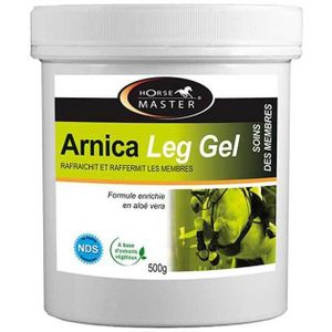 Foran Arnica & Aloë vera Gel 500g