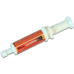 PRO L - CARNITINE oral syringe l carnitin supplement 60 ML