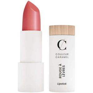 Couleur Caramel Satin Lipstick Pink Nude n°503