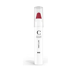 Couleur Caramel - Twist & Lips - 404 Rosy Red - Lipkleur