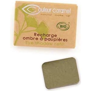 Couleur Caramel - Refill Oogschaduw - 107 Banana Leaves