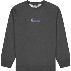 Picture - Toanah Crew - Trui - Grijs