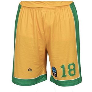 BIGSPORTS Replica Eurocup Limoges Csp nummer 18 2017 – 2018 Basketbalshort voor heren