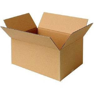25st. RajaBox kartonen verzenddoos 25x15x14cm