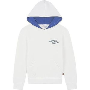 ROLAND-GARROS Stripes Sweatshirt met capuchon voor jongens, 1 stuk