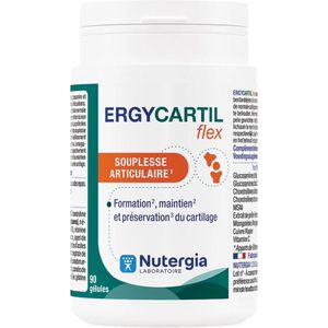 Ergycartil Flex Caps 90