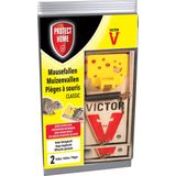Protect Home Victor Muizenvallen set van 2