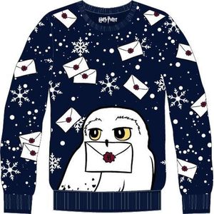 Harry Potter Kids - Hedwig Sweatshirt blauw 152