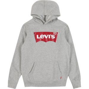 Levi's - Batwing Screenprint Hoodie - Groen - Katoen