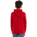 Levi´s - Kids Batwing Screenprint Hoodie - Blauw - Katoen
