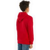 Levi´s - Kids Batwing Screenprint Hoodie - Blauw - Katoen