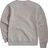 LEVI'S® KIDS Batwing - Sweatshirt - Grijs - Katoen