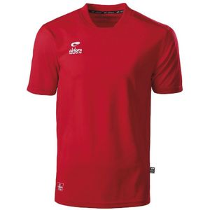 Jersey - Eldera - Champion - Truien