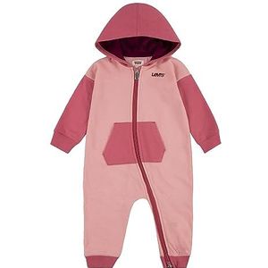 Levi's® Kids Overall Poster Logo for Baby BOYS