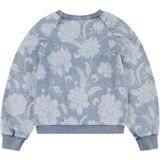 LEVI'S® KIDS Sweatshirt - Blauw - Katoen - Discharge Meet&Greet Design
