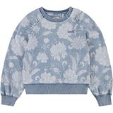 LEVI'S® KIDS Sweatshirt - Blauw - Katoen - Discharge Meet&Greet Design