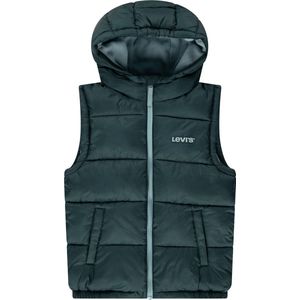 Levi's - Lvb Essential - Jas - Groen - Bovenkleding voor Kinderen