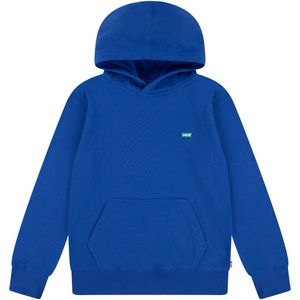 Levi's - Mini Batwing Hoodie - Jongens Hoodie - Grijs - Katoen