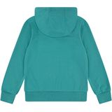 Levi´s - Batwing Pullover Hoodie - Groen - Katoen