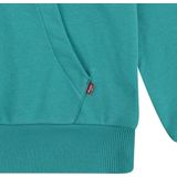Levi´s - Batwing Pullover Hoodie - Groen - Katoen