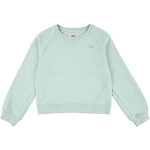 LEVI'S KIDS - Sweater - Groen - Molton - Ronde Hals - Lange Mouwen