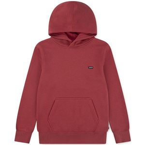 Levi's - Kids Mini Batwing - Hoodie