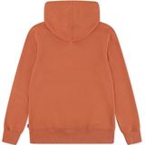 Levi's - LVB MINI BATWING - Hoodie - Mango - Voor Jongens