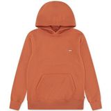 Levi's - LVB MINI BATWING - Hoodie - Mango - Voor Jongens