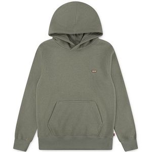 Levi's - Kids Mini Batwing - Hoodie